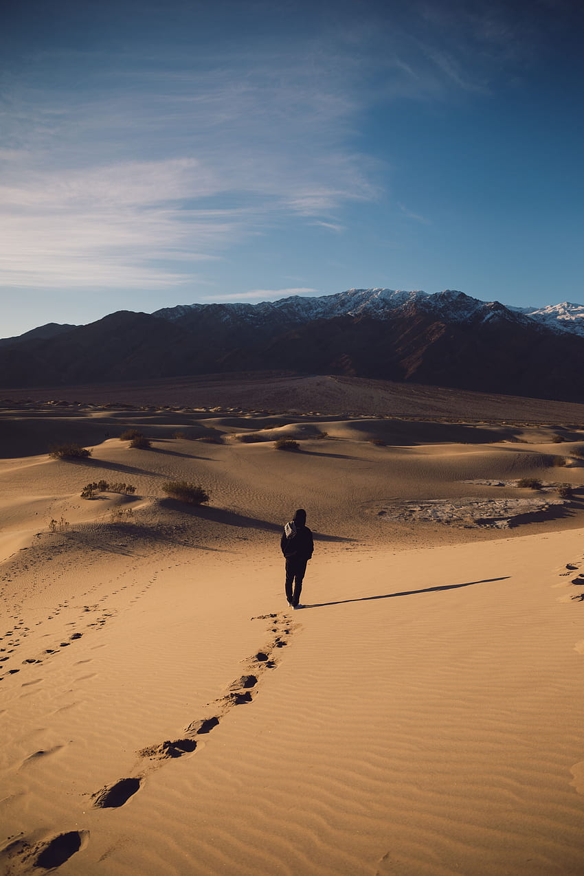 Natur, Sand, Wüste, Abgeschiedenheit, Privatsphäre, Einsamkeit, Spuren HD-Handy-Hintergrundbild