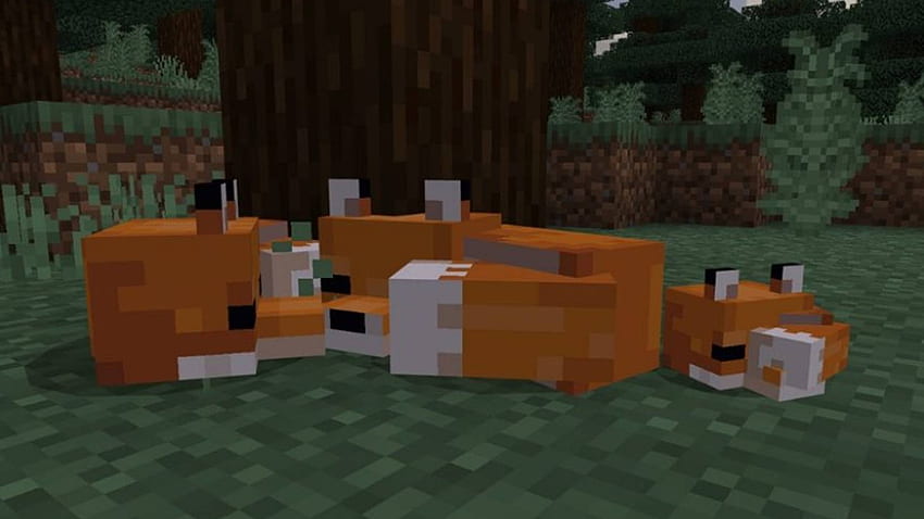 Minecraft fox guide: how to tame a fox in Minecraft HD wallpaper