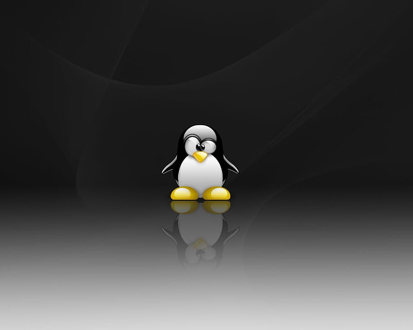 Contexte Linux et : Décembre 2010, Tux Fond d'écran HD