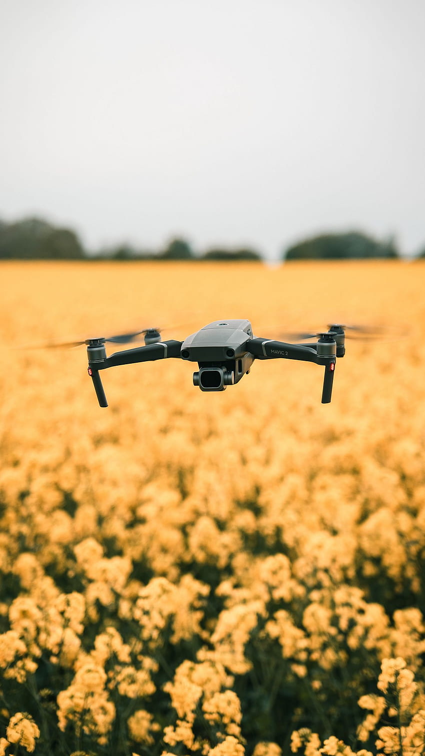 quadcopter, drone, flight, flowers HD phone wallpaper