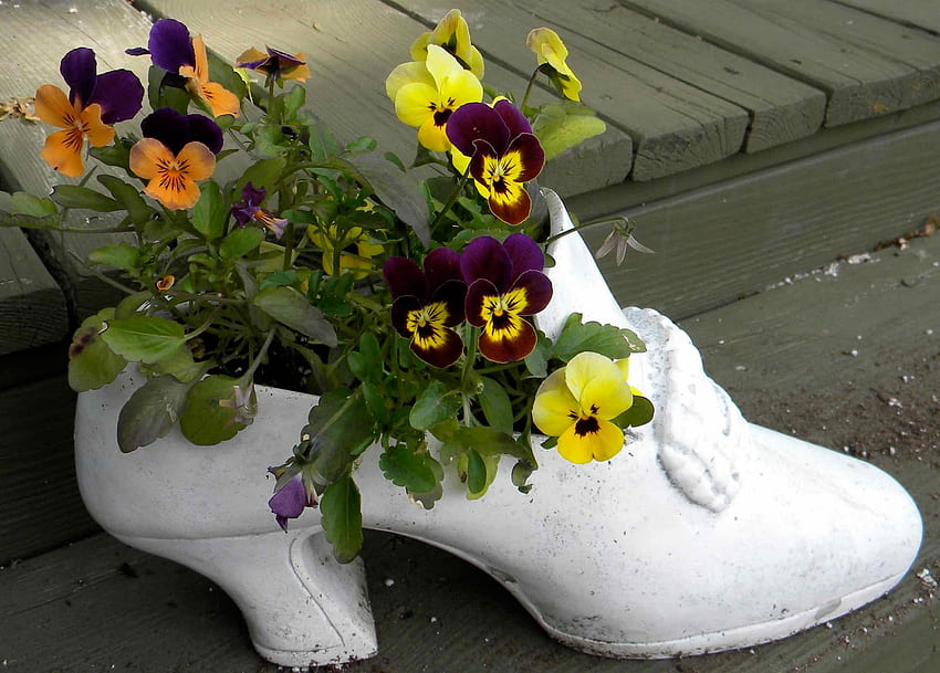 bouquet viola del pensiero, viola del pensiero, bouquet, giardino, scarpa, primavera Sfondo HD