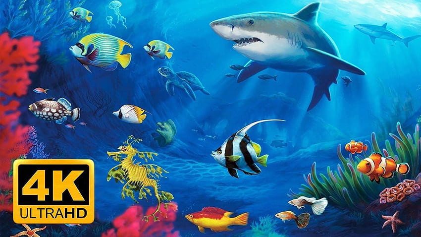 最高の癒しの水族館、ウルトラ水族館 高画質の壁紙