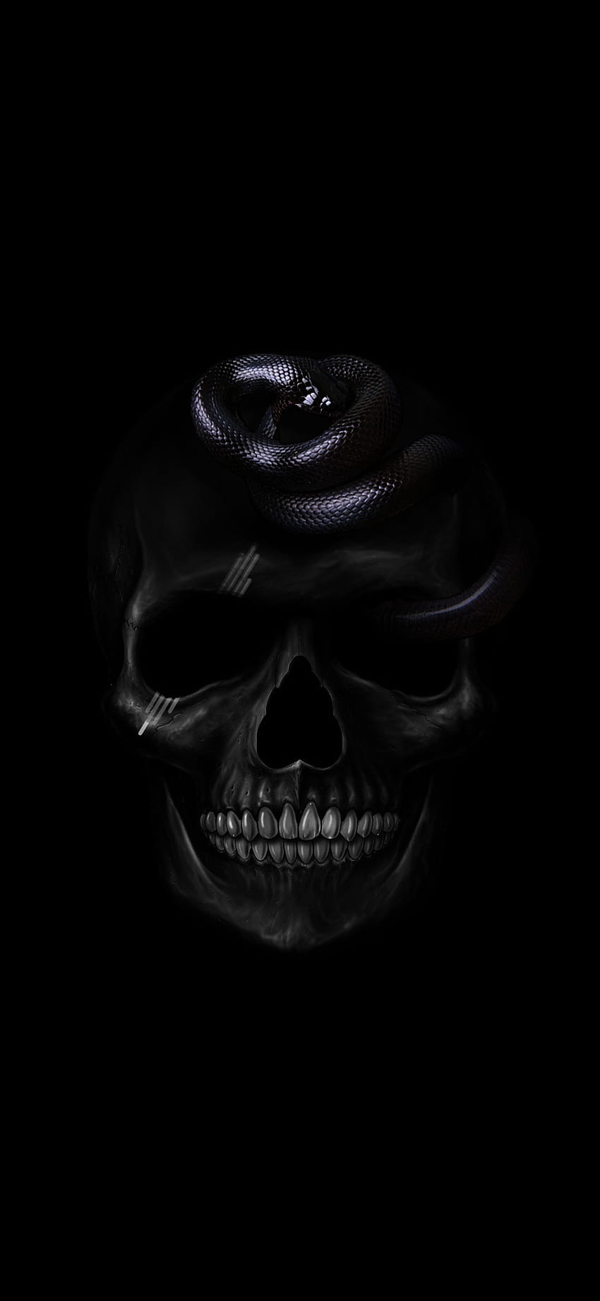 Snake n Skull, espeluznante, mandíbula, esqueleto, víspera de todos los santos, negro, negro fondo de pantalla del teléfono