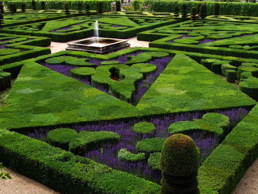 French Formal Garden In Loire Valley HD wallpaper