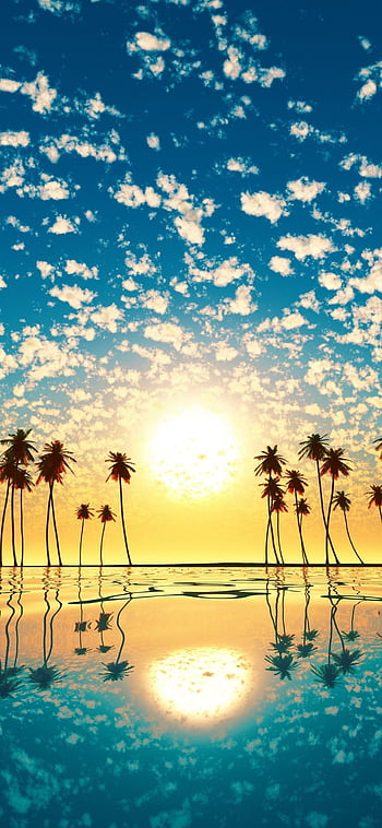 Mobile wallpaper Sunset Beach Photography Florida Miami Beach Palm  Tree 992534 download the picture for free