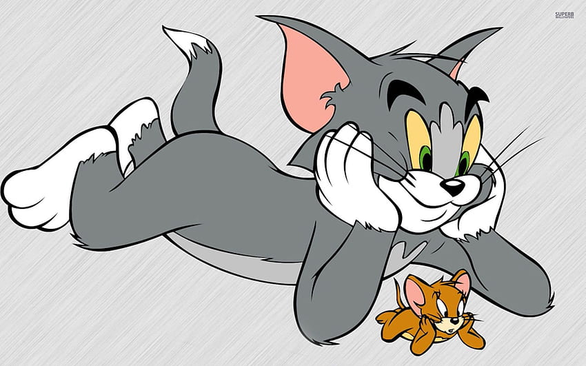 Tom and Jerry and s Cartoon 1024×768 HD wallpaper | Pxfuel