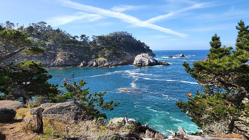 Point Lobos Park in Monterey, California, sea, pacific, coast, clouds, trees, sky, rocks, usa HD wallpaper