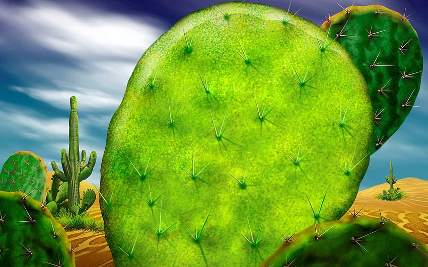 Natura, makro, kaktus, kolce, ciernie, jasno Tapeta HD