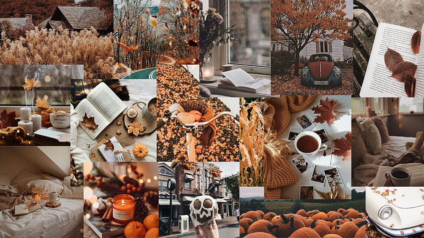 Autumn Collage Laptop HD wallpaper | Pxfuel