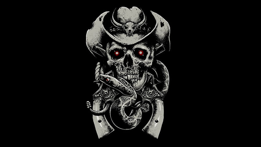 Preview skull, fear, hat, guns, snake, background HD wallpaper