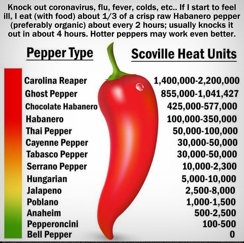 Hot Peppers Knock Out Coronavirus, Flu, Fevers, Colds, and Coughs, pandemic, chills, hot peppers, illness, fever, coughs, coronavirus, quarantine, healing, sweats, sick, hope, well-being, virus, variants, retired, miracles, miracle, COVID-19, colds, religious, love, seniors, peace, sinusitus, joy, flu, home remedies, faith, bronchitis, immune system booster, sniffles, supernatural, natural, fitness, health, spiritual HD wallpaper