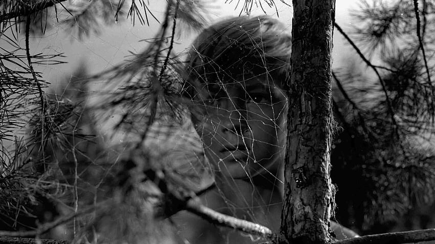 Mirroring Tarkovsky season at BFI Southbank - Curzon Artificial Eye, Andrei Tarkovsky HD wallpaper