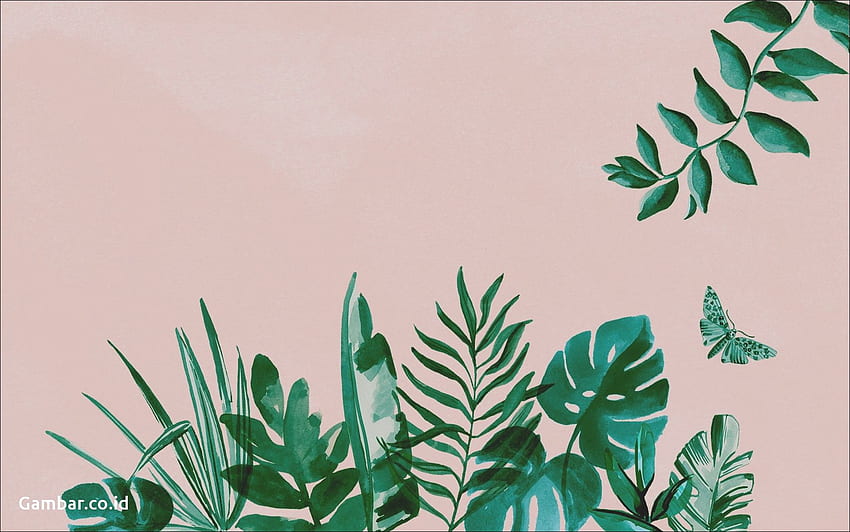 Tumblr For Laptop - Artsy Aesthetic Computer Background, Monstera HD wallpaper