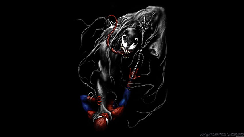 Venom Vs Spider Man - Spiderman Venom,, Black and White Spider-Man HD wallpaper