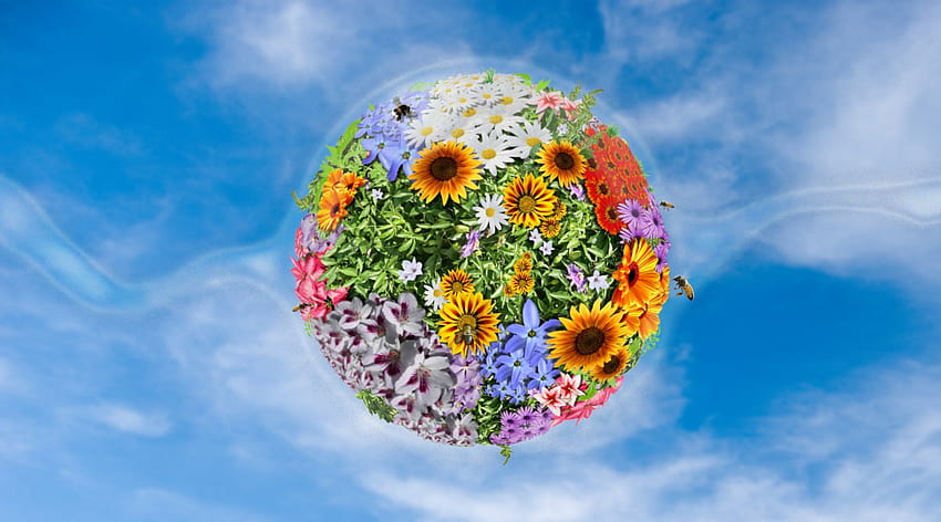 Flower Power, cielo blu, fiori, api, palla Sfondo HD