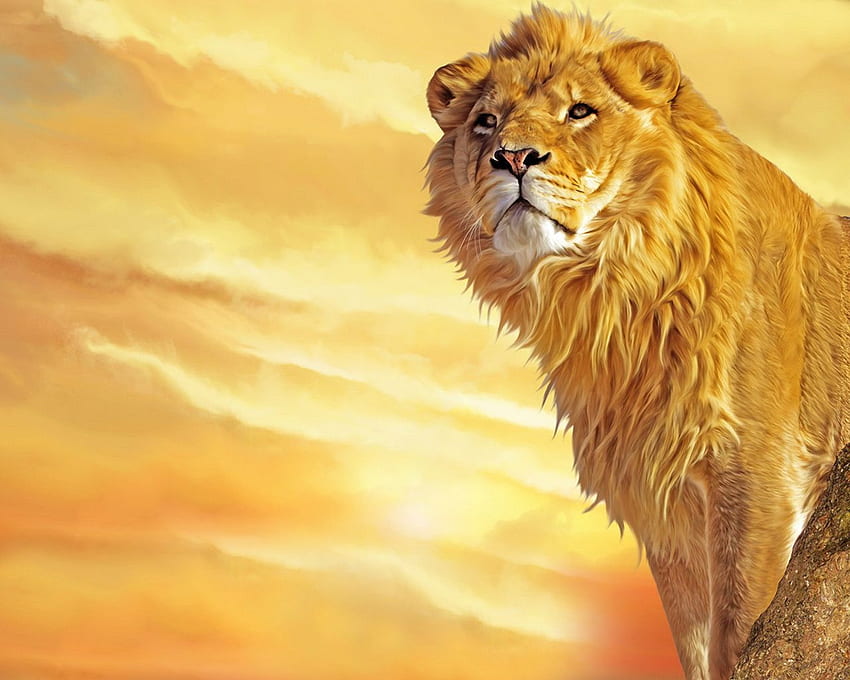 Лъв фон. Цар Лъв Дисни, Удивителен лъв и глухарче, Златен лъв HD тапет