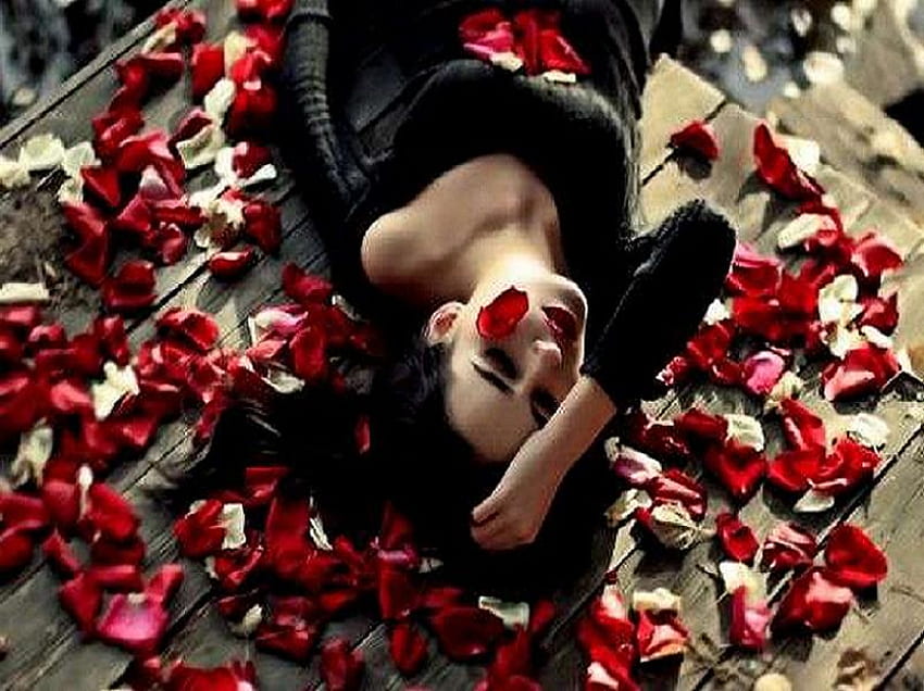 バラの花びらのシャワー、黒いドレス、バラ、花びら、赤、横たわる、美しい、花、女性 高画質の壁紙