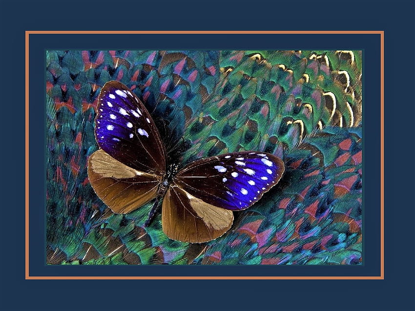 Schmetterlingskunst, Blau, Kunst, Insekten, Schmetterlinge, Braun, Tiere, Grün, Cool, Schattierungen HD-Hintergrundbild