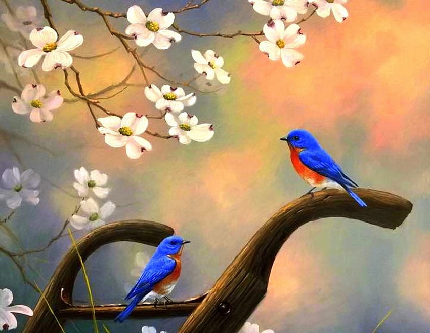 Song Birds in Spring, birds, cute, colors, paintings, beautiful, spring, love four seasons, animals, flowers, lovely HD wallpaper