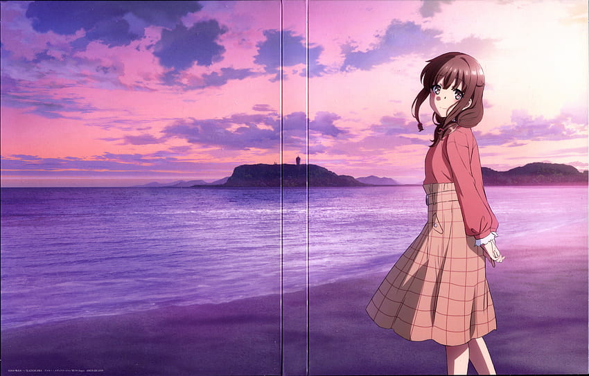 Sakurajima Mai, Azusagawa Sakuta - Zerochan Anime Image Board