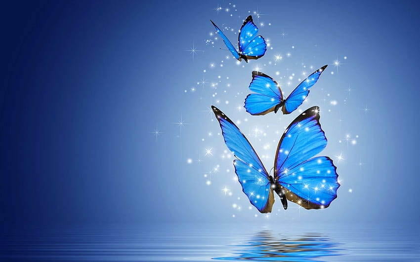 파란 나비 미학, 예쁜 파랑 HD 월페이퍼