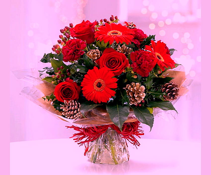 For Nexus Administration team, christmas, green, vase, red flowers, pine cones, flowers, arrangement, bow HD wallpaper