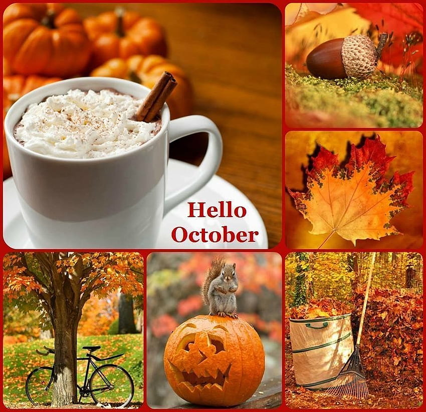 Autumn hello October collage inspiration colors graphy, Hello October Fall Quotes HD wallpaper