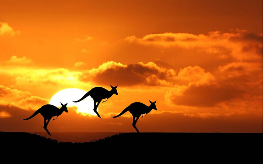 Australian , Australia Outback HD wallpaper