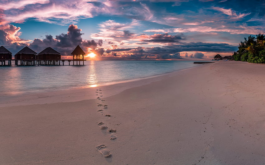 isole tropicali, Maldive, oceano, palme, sera, tramonto, vacanze estive, spiaggia, bungalow sull'acqua Sfondo HD