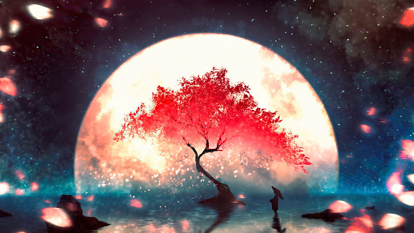 Anime, noc, krajy, księżyc, kwiat wiśni. Mocah Tapeta HD