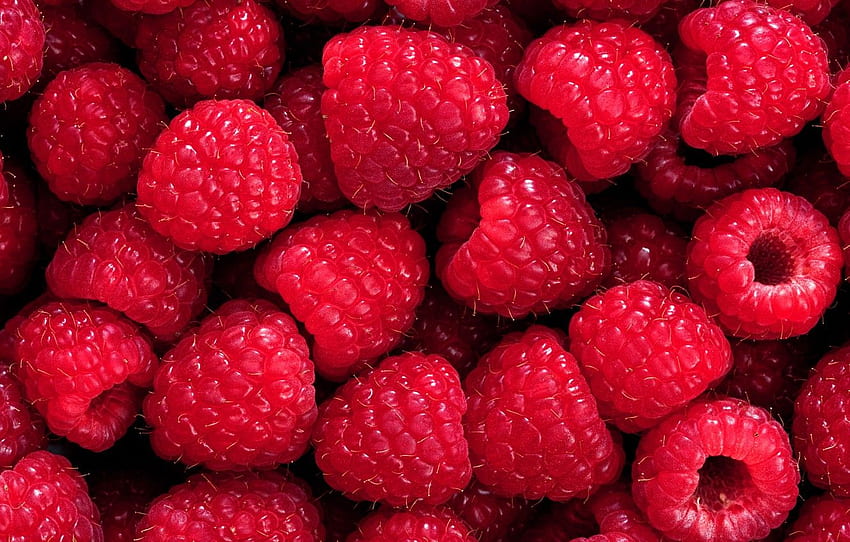 berries, raspberry, background, background HD wallpaper