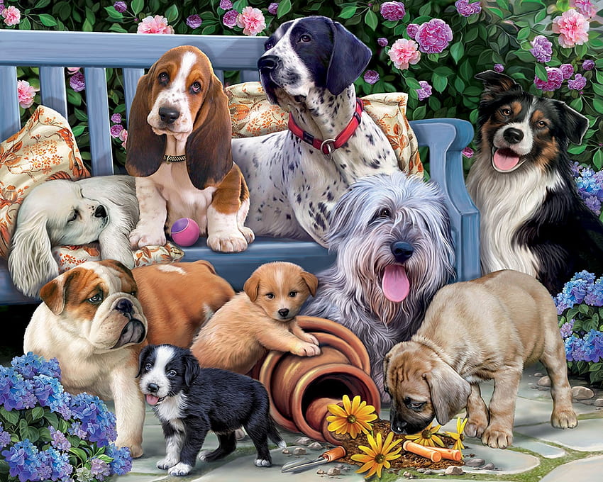 Dogs, summer, dog, puppy, art, caine, vara HD wallpaper