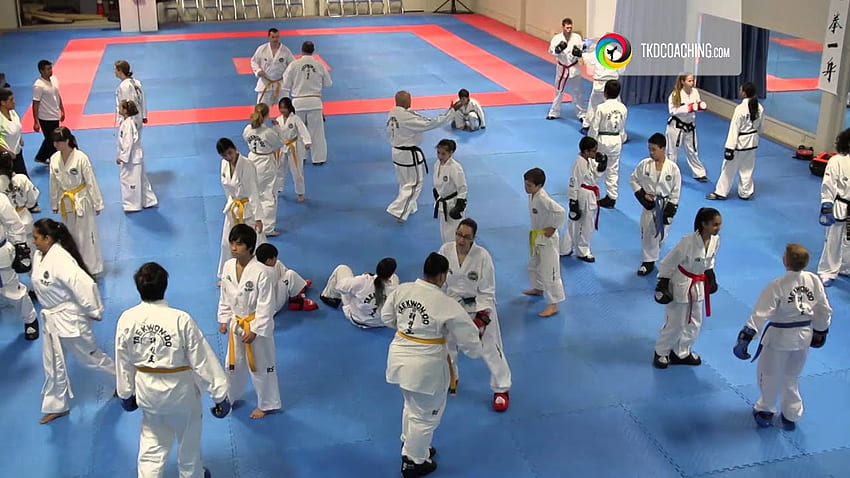 Master Daher Sparring Clips - Posição do Corpo e da Cabeça, Sparring Taekwondo papel de parede HD