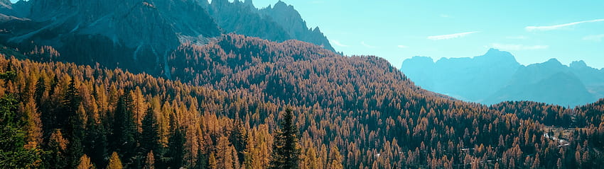 Floresta, Outono, Montanha, Floresta, , - -, Tela Dupla papel de parede HD