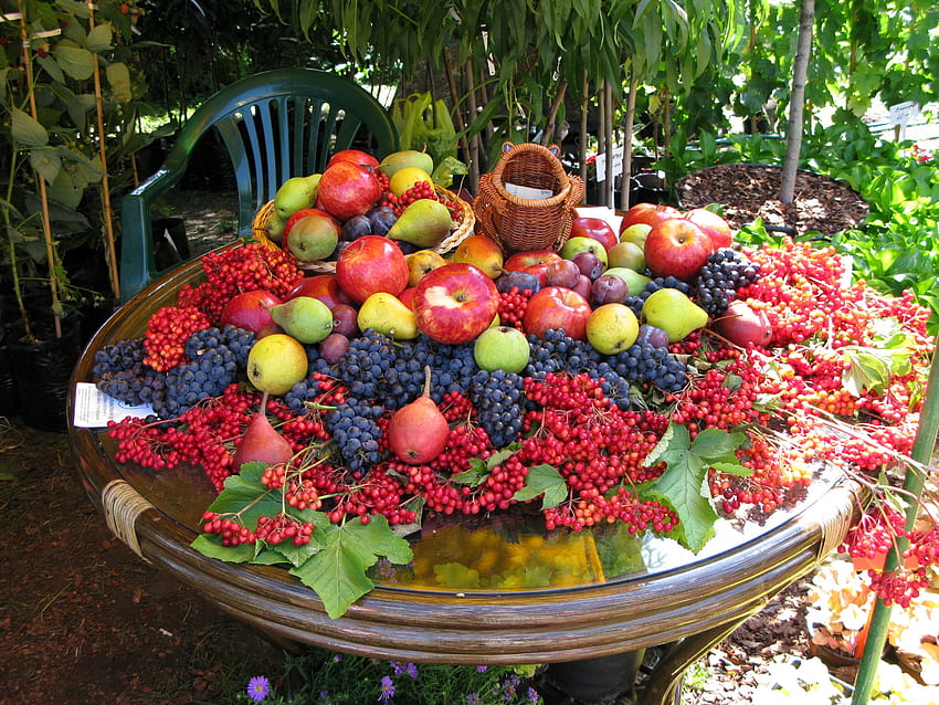 Fruits, Food, Berries, Table, Lot HD wallpaper