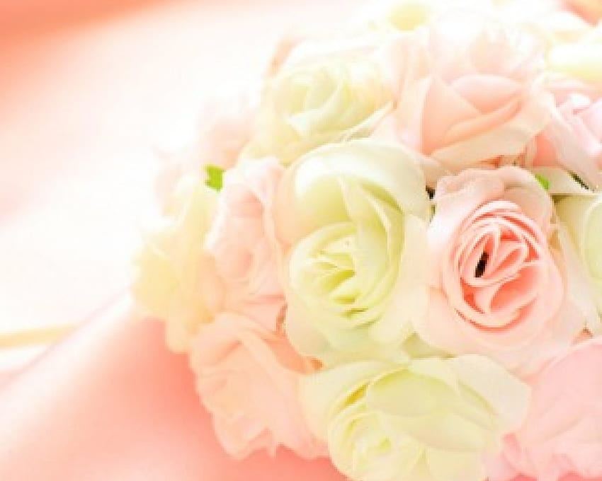 Doux au toucher, bouquet, roses, pétales, fleur Fond d'écran HD