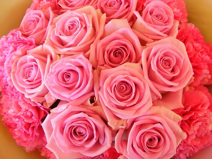 ช่อดอกไม้โรแมนติก, คาร์เนชั่น, สวย, วาง, ความบันเทิง, สด, หวาน, รัก, ช่อดอกไม้, กุหลาบ, ตลอดกาล, พิเศษ, แฟชั่น, สีชมพู วอลล์เปเปอร์ HD