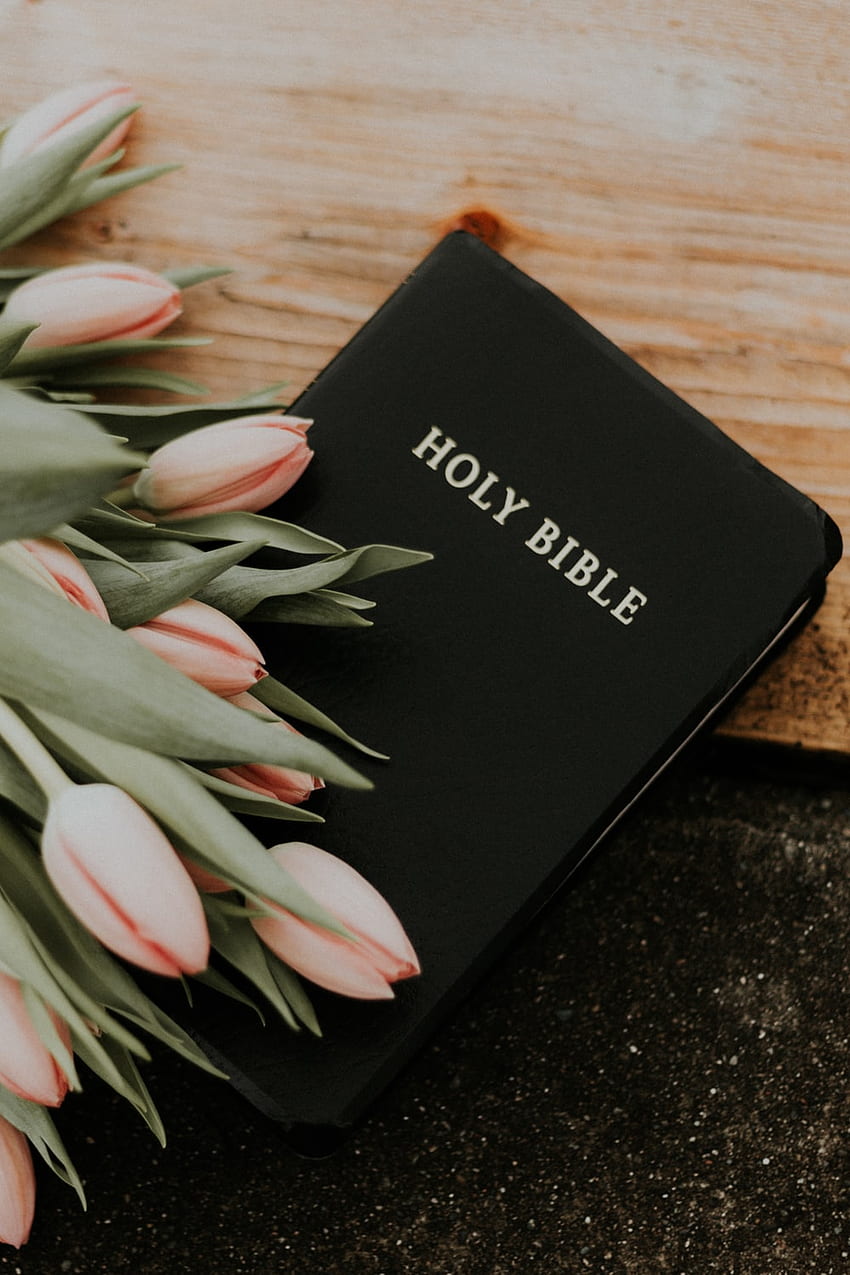 Светата Библия под розови лалета – Библия, библейска естетика HD тапет за телефон