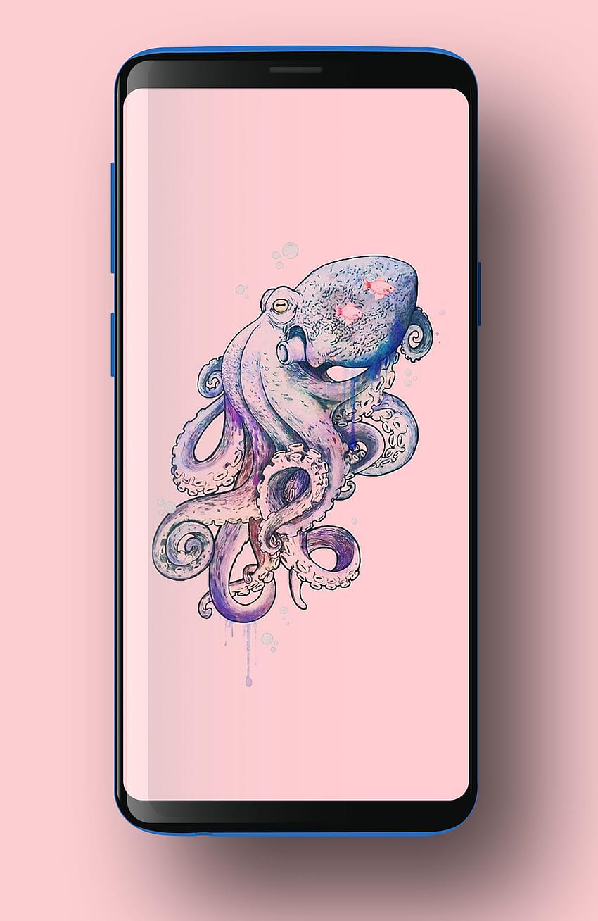 Cute Octopus for Android, Cute Squid HD phone wallpaper