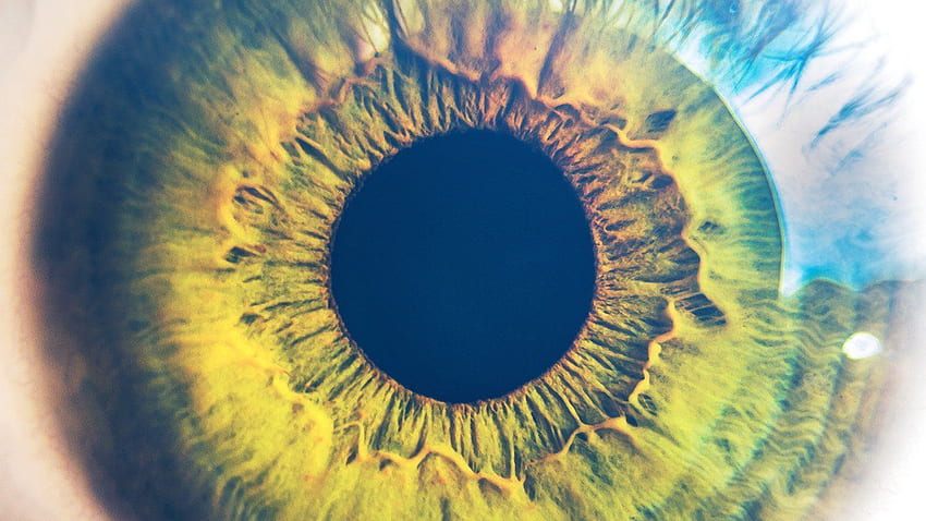눈 인간 본성 동공 신체 과학 플레어 블루. 눈 HD 월페이퍼