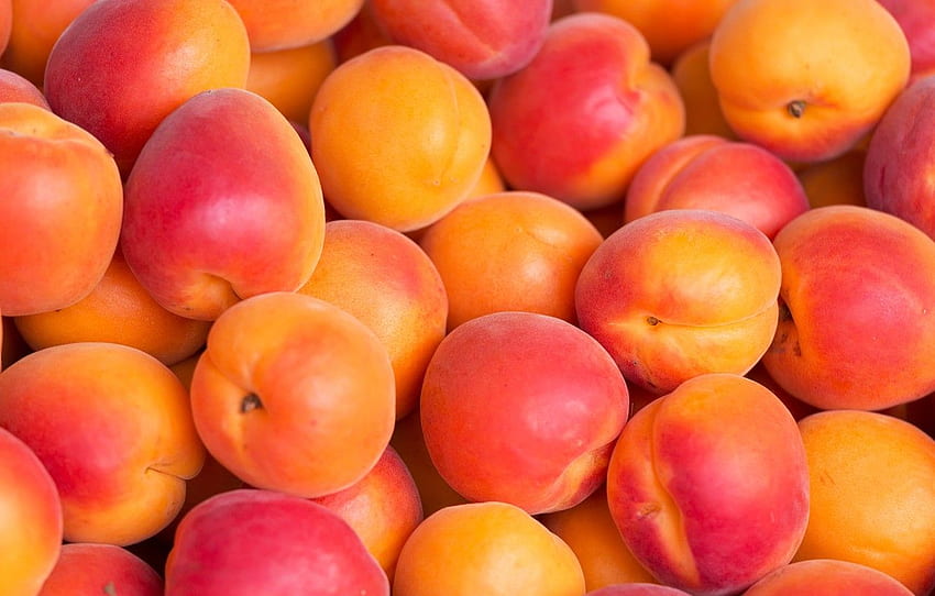 fruit, apricots, apricot for , section еда - HD wallpaper