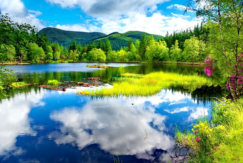 Réflexions du ciel bleu, bleu, rivière, au bord du lac, cristal, réflexion, arbres, verdure, incroyable, paysage, herbe, lac, cabine, été, en miroir, nuages, nature, ciel, clair Fond d'écran HD