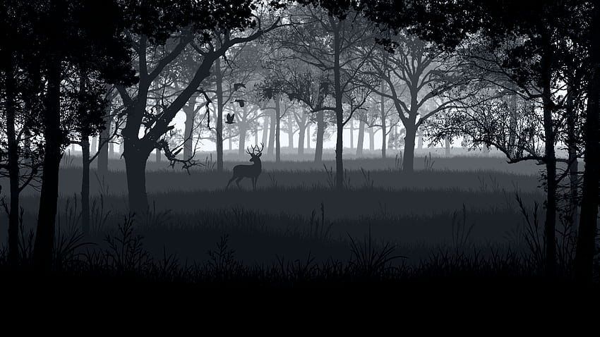 森の中の鹿 [] :, Deer Black and White 高画質の壁紙