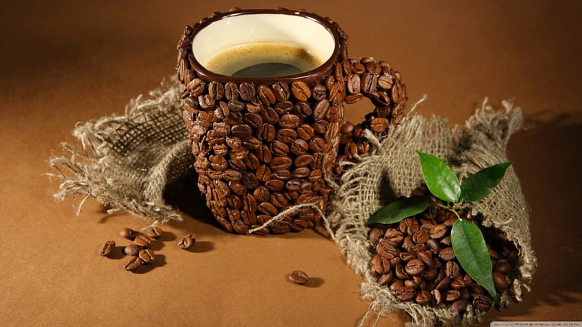 Xícara de grãos de café, maciez, grafia, grãos de café, xícara, resumo, café, feijão, bebida papel de parede HD