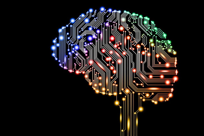 Neurocientistas estão fazendo um cérebro artificial para todos, inteligência cerebral papel de parede HD
