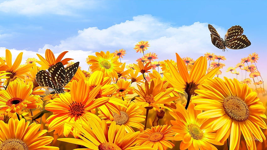 Sunflowers and Butterflies, Sunflower and Butterfly HD wallpaper | Pxfuel