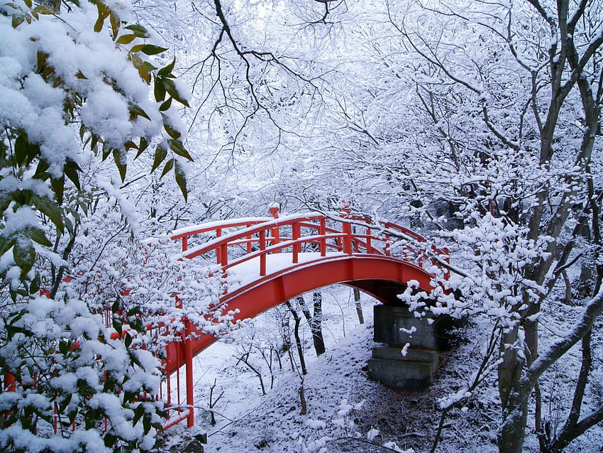 Walk over, winter, snowfall, branches, trees, bridge HD wallpaper