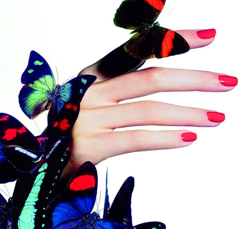Manos, mariposas, dama, esmalte de uñas, colorido. fondo de pantalla