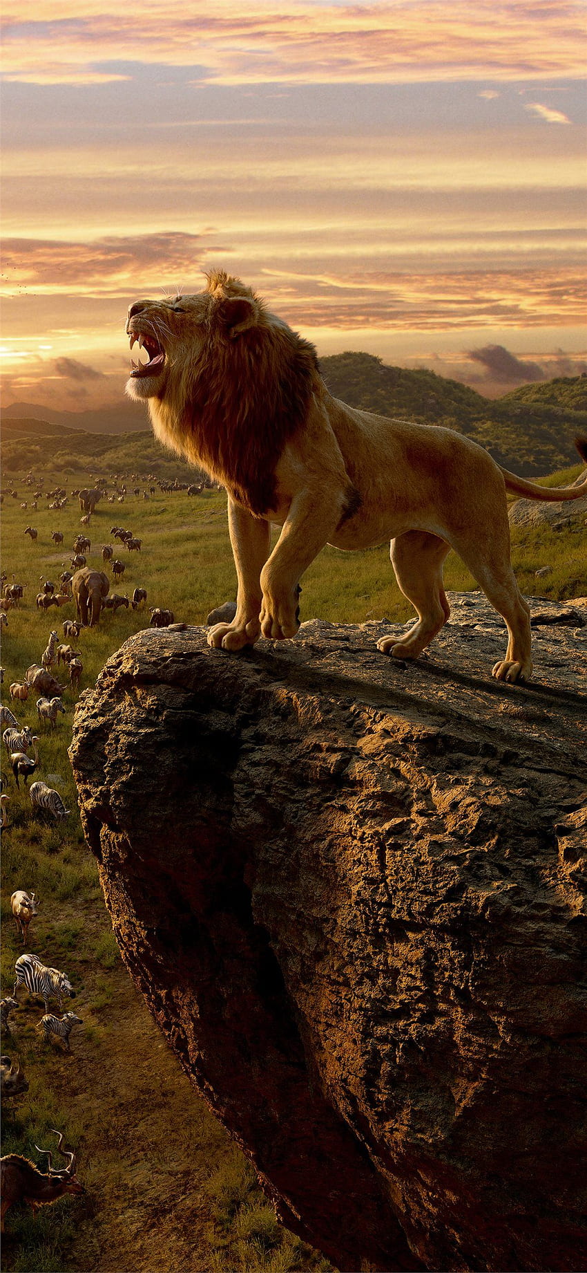 Best Lion iPhone 11, Cute Lion HD phone wallpaper | Pxfuel