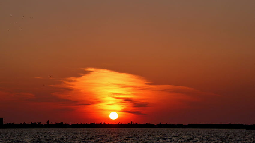 Florida Beach, Skyline, Sunset, Nature, , , Background, Naxrro, Florida Sunrise HD wallpaper